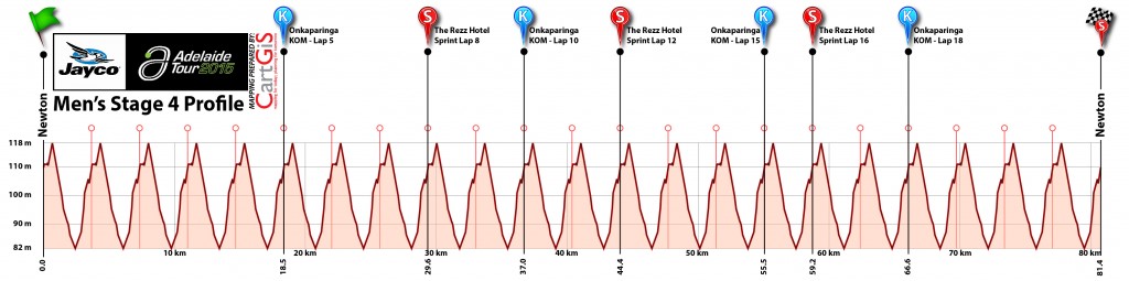 Stage 4 Mens Profile v1